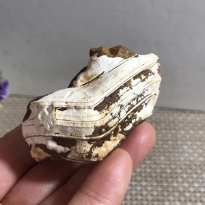 Bellissimo! Pietra Cristallo Agata Occhio GoBi Naturale Esemplare Guarigione 70g - Foto 1 di 10