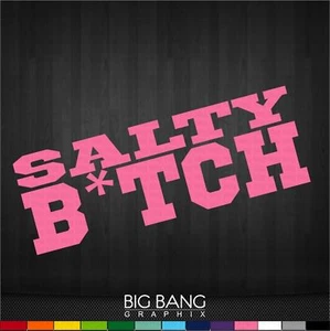 Salty Old Guy Vinyl Sticker Decal Car Funny Dad Joke Sticker Biker Trucker - Picture 1 of 3