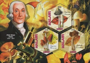 Mushrooms Mycologists Peter Simon Pallas Sov. Sheet of 3 Stamps MNH - Picture 1 of 5