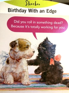 Fun Birthday Card "Message with an Edge" Shoebox by Hallmark AD8 - Picture 1 of 2