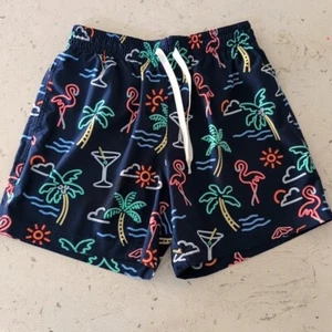 Chubbies Swim Trunks Mens Small Blue The Neon Lights Liner 5.5” Inseam - Picture 1 of 11