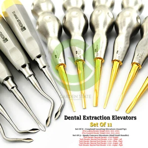 Dental Luxating Elevators Set Teeth Removal Root Extracting Straight + Angled - Picture 1 of 12