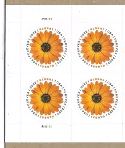 AFRICAN DAISY FLOWERING NATURE US #5680 GLOBAL RATE FOREVER STAMP PLATE BLOCK - Picture 1 of 2