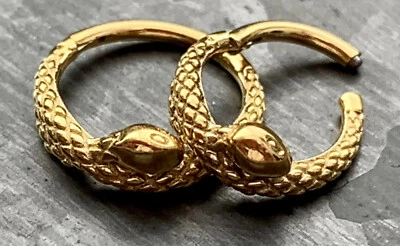 Anillo de segmento con bisagras serpiente enrollada de acero quirúrgico aro de tabique hélice Daith 1 pieza Foto 1 de 4
