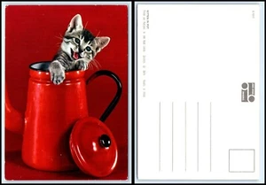CAT Postcard - Cute Kitten Coming Out Of Tea Pot D20 - Picture 1 of 1