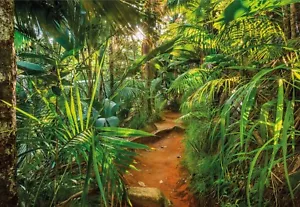 Dschungel Tapete Innenraum Wände Riesig Foto Wandbild Grün Botanisch 368x254cm - Bild 1 von 4
