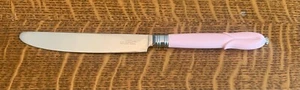 Mikasa Flatware Silverware Plastic Dinner Knife *Mis 38-Pink* PINK - Picture 1 of 5