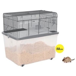 cheap gerbilarium