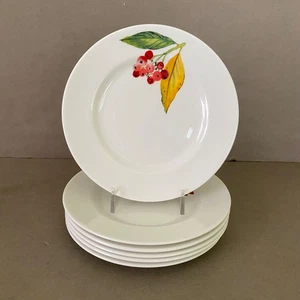 Set 6 Crate & Barrel The Seasons 6 3/8" Appetizer Dessert Plates ~ Mary Woodin - Picture 1 of 14