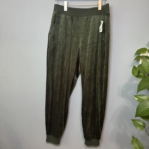Banana Republic Velvet Velour Joggers in Mountain View Green. NWT. Women’s Large - Picture 1 of 10