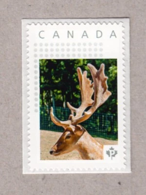 Ciervo = astas = sello postal con imagen personalizado MNH Canadá 2017 p17-01s5 Foto 1 de 2