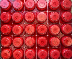 Notifier NFXI-OPT x30 (Thirty) - Bild 1 von 2