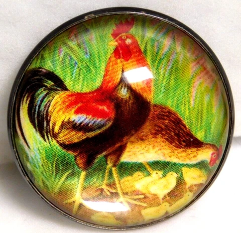 LARGE Vtg Collectible Rooster & Chicken BUTTON NICE #J1 Cover