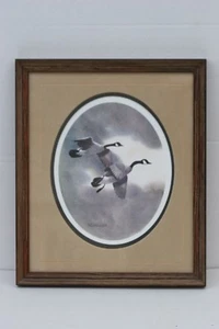 Seltenes Vintage Fliegenente gerahmtes Bild signiert von RJ NELSON 13,1/2" x 16" - Bild 1 von 12