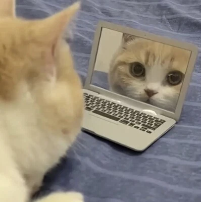 Cat Laptop Mini Dollhouse Miniature Metal Laptop Computer Notebook Toy Mirror - Image 1 of 4