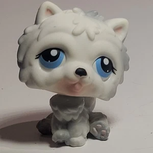 HTF RARO LPS Littlest Pet Shop - White Chow Chow - esclusivo bersaglio #384 - bianco - Foto 1 di 9