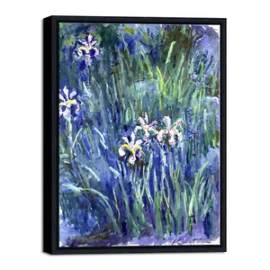 Black Framed Canvas Print Wall Art Irises by Claude Monet Oil Paintings Pictures - Picture 1 of 7