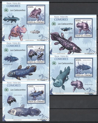 (232205) Fish, Coelacanth, Comoros - sheets de luxe Cover