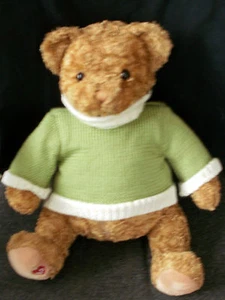 GUND ~ 18" Plüsch ~ kleiner brauner Bär ~ grüner Pullover ~ 46120 ~ 2006 - Bild 1 von 3