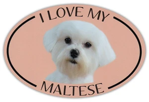 Oval Dog Breed Picture Car Magnet - I Love My Maltese - Bumper Sticker Decal - Picture 1 of 1