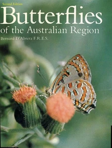 Schmetterlinge der australischen Region - Bild 1 von 1