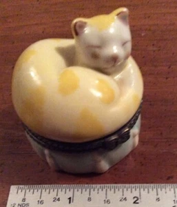 Portapillole per gatti - Foto 1 di 3