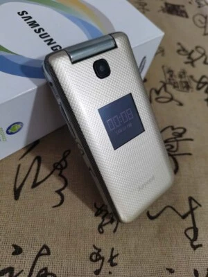 Unlocked SAMSUNG W319 SCH-W319 DK15 Dual-SIM MicroSD CellPhone Good Condition - Image 1 of 4