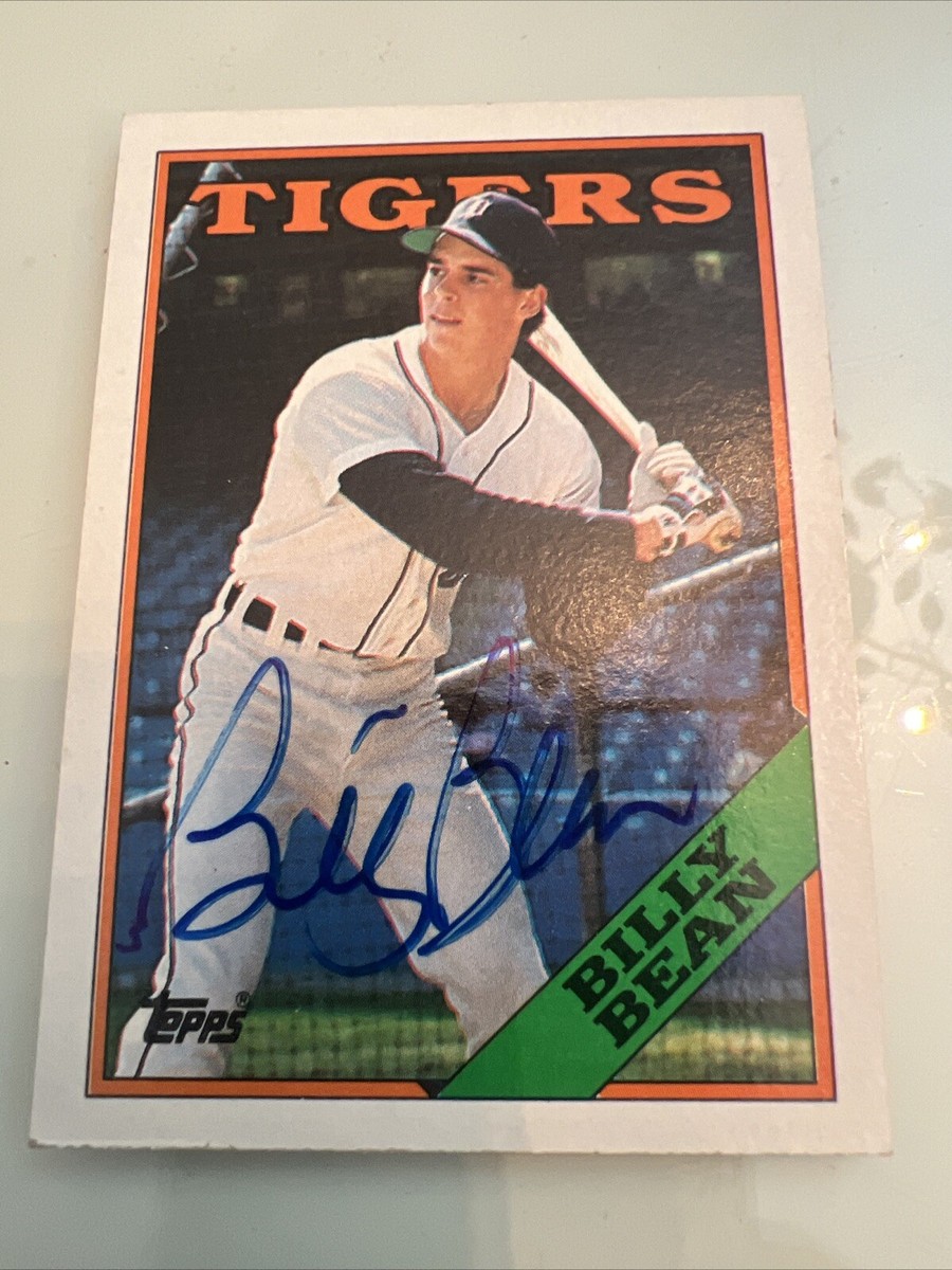 スポーツ選手 1988 BASEBALL CARD No.267 スポーツ選手 1988 BASEBALL CARD No.267 1988 Fleer Baseball