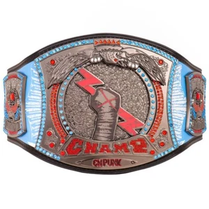 CM Punk 434-Day Signature Series Wrestling Championship Replica Title Belt Adult - Bild 1 von 7