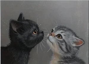 Katzenfuttermatte  Napfunterlage Katzen  Futtermatte rutschfest &wasserdicht - Bild 1 von 30