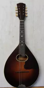 Mandolino Vega Company 1920 vintage - 8 corde BELLE CONDIZIONI!! PERFETTAMENTE FUNZIONANTE - Foto 1 di 18