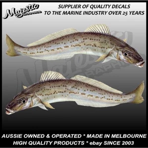 KING GEORGE WHITING - 350mm x 110mm - PAR ESPEJADO - CALCOMANÍAS DE BARCO - Imagen 1 de 2