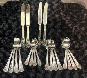 Pfaltzgraff Winterberry Silverware Color 5 Piece Place Setting 20 Pc Fork Spoon - Picture 1 of 16