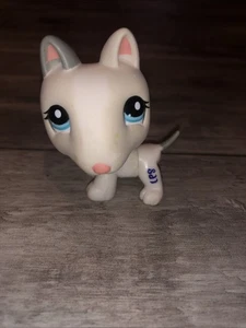 Littlest Pet Shop LPS Bull Terrier #1665 Blanco Bronceado Perro Ojos Azules Gris Oreja Cola - Imagen 1 de 3