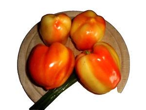  Semillas de pimiento 10 pusztagold húngaro pimientos semillas, pimientos - Imagen 1 de 2