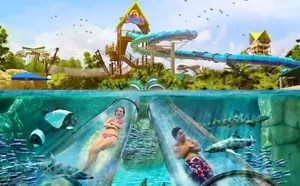 ++++OUTIL D'INFORMATION SUR LES BILLETS AQUATICA ORLANDO 49,99 $ RABAIS - Photo 1 sur 1