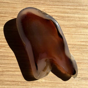 Montana Agate Geode Slice Polished Light Gray Crystal Orange Black Bands 4" Long - Picture 1 of 7