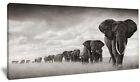 Beautiful African Elephants Panoramic HD Framed Canvas Wall Art Picture Print
