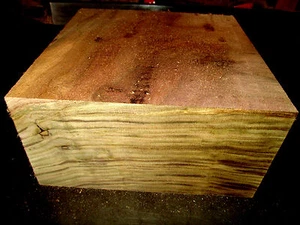 448: TWO BEAUTIFUL WALNUT TURNING BLANKS LATHE TURNING WOOD LUMBER 4" X 4" X 8" - Picture 1 of 1