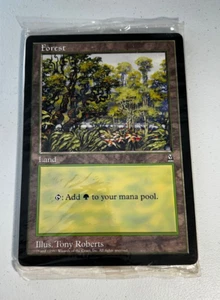 Carte promozionali MTG Magic The Gathering Forest 6x9 Arena (10) *Sigillate* NM - Foto 1 di 8