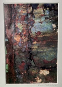 Jay Canterbury Signed Abstract Photograph Limited Edition Nice! - Picture 1 of 13