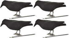 4 x Nitehawk Full Body Flocked Shooting/Hunting Crow Decoy With Feet And Stake