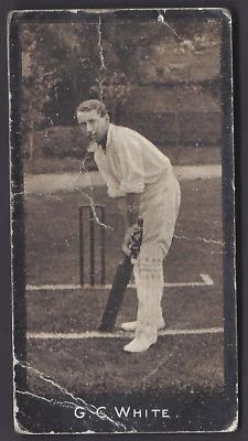 SMITH - CRICKETERS (1-50) - #37 G C WHITE - Image 1 of 2