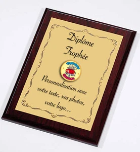 Trophée Diplome a personnaliser ALU et BOIS 31x23 cm - Picture 1 of 1