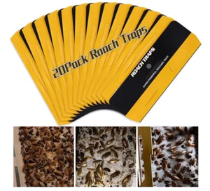 20 Pack Roach Traps Cockroach Traps Indoor Home Glue Roach Traps Child & P - Picture 1 of 6