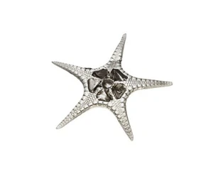 Adorno grande de estrella de mar elegante peltre fundido - JK30L - Imagen 1 de 1