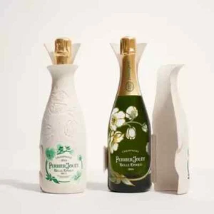 1 BOTTLES CHAMPAGNE " BELLE EPOQUE " 2065 PERRIER JOUET EDITION SPECIALE cocoon - Foto 1 di 1