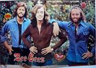 BEE GEES =  2 PAGES 1979 French CLIPPING / COUPURE DE PRESSE