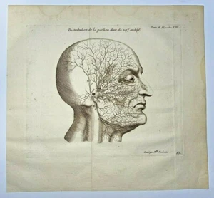 ANATOMIE- LE NERF AUDITIF 1761 GRAVURE ORIGINALE DE FONBONNE & DU VERNEY 18e S. - Imagen 1 de 6