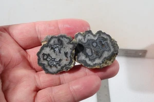 Montana Bear Canyon Agate 1.1 oz  Two Piece faced rough lot G - Picture 1 of 14